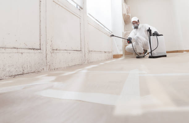 24/7 Emergency Basement Mold Remediation experts in Alexandria, MN
