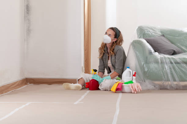 Reliable Basement Mold Remediation contractor in Alexandria, MN by Mold Remediation HQ